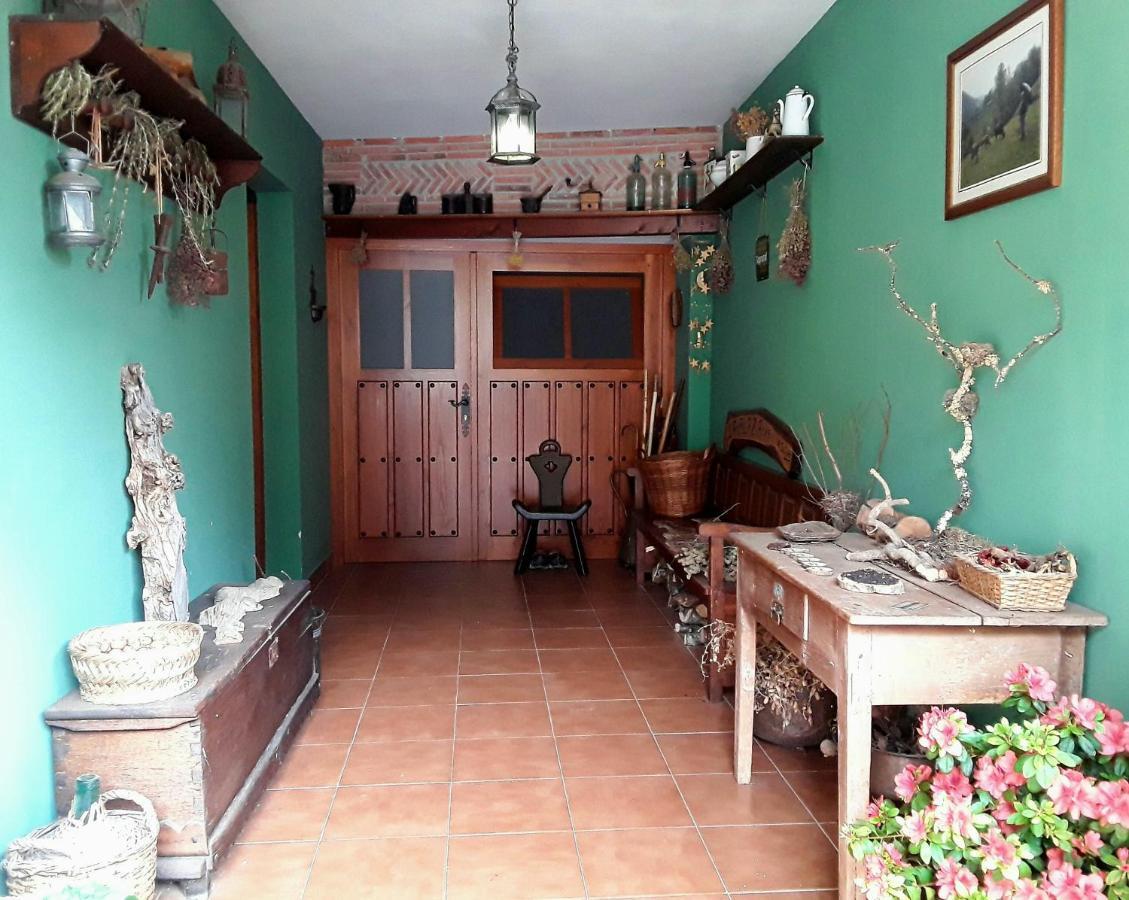 La Fragua De La Vega Estudios Ngoại thất bức ảnh